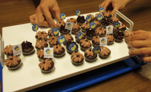 python meetup cupcakes
